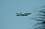 Dcim7136/DSC_9731
