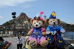 Dcim7138/DSC_5661