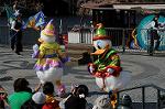 Dcim7138/DSC_5713