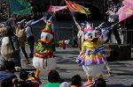 Dcim7138/DSC_5736