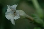 Dcim7151/DSC_0007