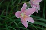 Dcim7151/DSC_0027
