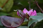 Dcim7151/DSC_0039