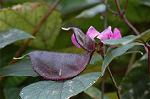 Dcim7151/DSC_0040