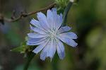 Dcim7151/DSC_0044