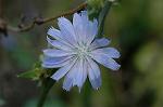 Dcim7151/DSC_0045