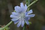 Dcim7151/DSC_0050