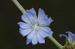 Dcim7151/DSC_0053