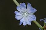 Dcim7151/DSC_0054