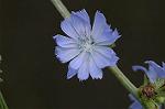 Dcim7151/DSC_0055