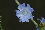 Dcim7151/DSC_0056