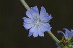 Dcim7151/DSC_0060