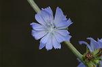 Dcim7151/DSC_0061