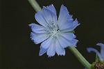 Dcim7151/DSC_0062