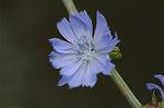 Dcim7151/DSC_0064