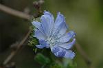 Dcim7151/DSC_0065