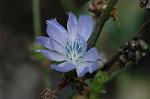 Dcim7151/DSC_0068