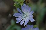 Dcim7151/DSC_0070