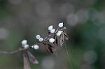 Dcim7152/DSC_0120