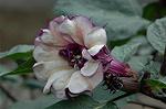 Dcim7152/DSC_0147