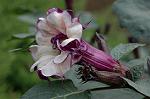Dcim7152/DSC_0148