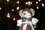 Dcim7156/DSC_0492