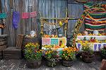 Dcim7159/DSC_7583