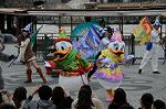 Dcim7162/DSC_8008