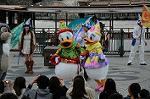 Dcim7162/DSC_8009