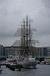 Dcim7167/DSC_8651