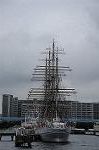 Dcim7167/DSC_8652
