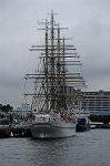 Dcim7167/DSC_8656