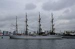 Dcim7167/DSC_8683