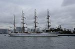 Dcim7167/DSC_8698