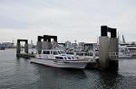 Dcim7169/DSC_8913