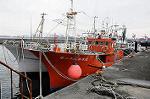 Dcim7169/DSC_8917