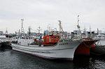 Dcim7169/DSC_8918