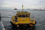 Dcim7169/DSC_8919