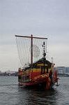 Dcim7169/DSC_8938