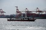 Dcim7170/DSC_9087