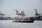 Dcim7170/DSC_9096