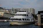Dcim7173/DSC_9449