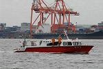 Dcim7174/DSC_8380