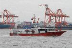 Dcim7174/DSC_8386