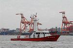 Dcim7174/DSC_8390