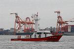 Dcim7174/DSC_8391