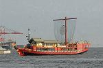 Dcim7175/DSC_8520