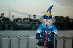 Dcim7178/DSC_0835