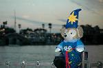 Dcim7178/DSC_0837