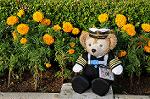 Dcim7182/DSC_0006